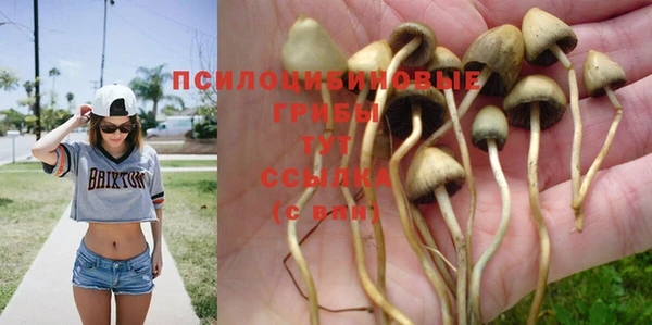 spice Верхнеуральск